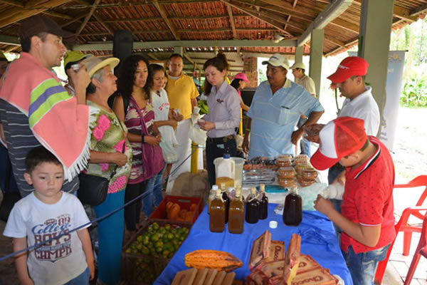 Taller Sobre Comercialización Sistémica