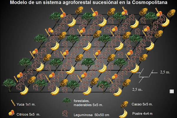 Taller Sobre Sistemas Agroforestales